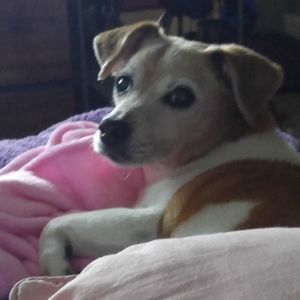 Meet your Posher, Gena